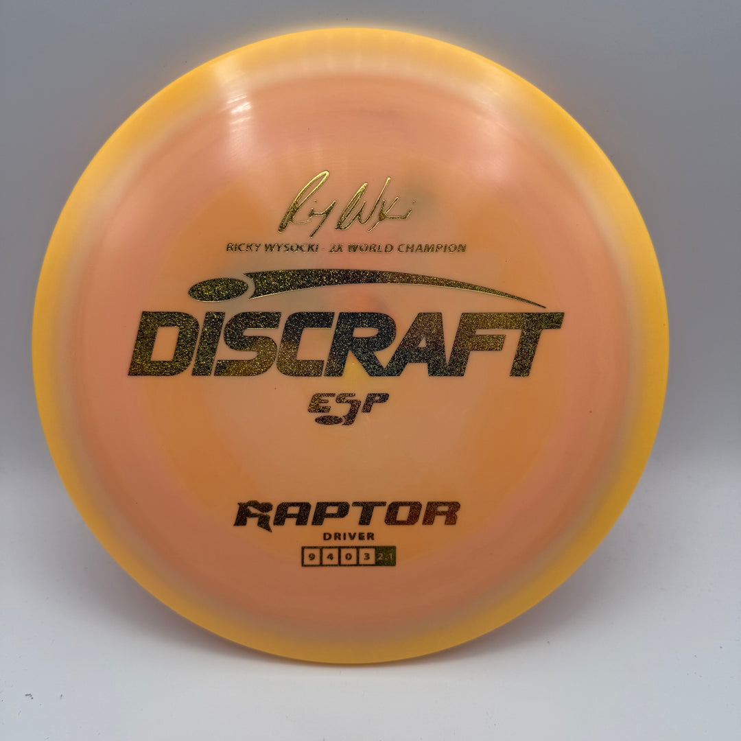 Ricky Wysocki ESP Raptor